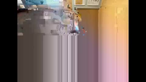 Nikolay online show from May 2026 09:17:01 AM