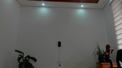 LIAM- noah online show from March 2026 01:33:02 PM