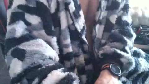 Boingyyyy online show from December 2025 02:44:02 PM