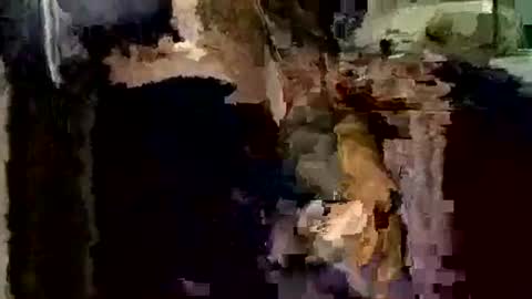 Snapshot of nocturnus1980 chatting on December 2025 04:06:01 AM nocturnus1980 online show from December 2025 04:06:01 AM