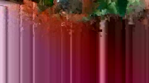 Snapshot of nocturnus1980 chatting on January 2026 05:44:02 AM nocturnus1980 online show from January 2026 05:44:02 AM