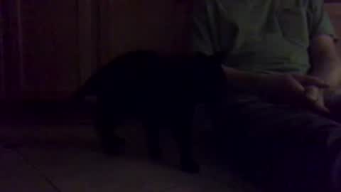 Noodles online show from January 2026 01:04:01 PM