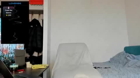 North stallions online show from February 2026 07:04:02 AM