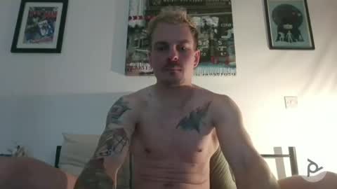 Not Another XXX Webcam online show from March 2026 10:27:02 PM