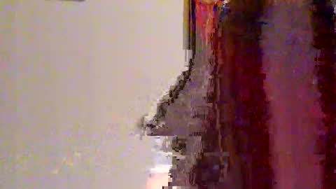 novahexx online show from April 2026 01:22:02 AM