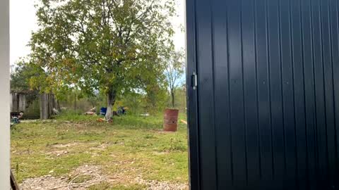 Nicol online show from September 2025 07:21:02 AM