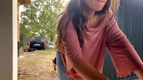 Nicol online show from September 2025 11:48:01 AM