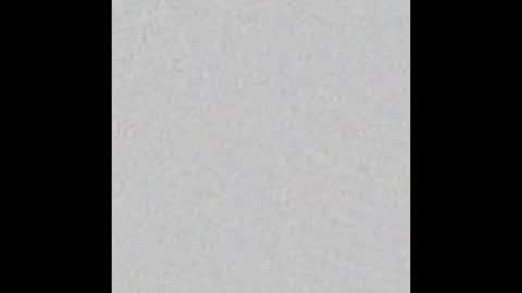 Snapshot of obsidian_stallion chatting on December 2025 05:20:02 PM Obsidian stallion online show from December 2025 05:20:02 PM