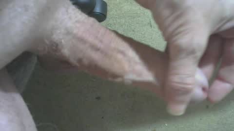odentonman4fun online show from June 2026 04:04:01 AM