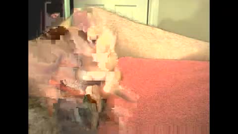 odinswarrior online show from February 2026 03:46:01 PM