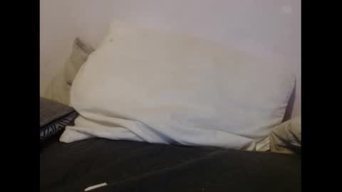 OGDigBick online show from February 2026 01:51:02 PM