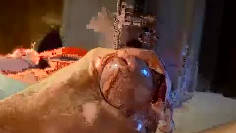 Snapshot of oldermtl chatting on July 2026 12:13:01 AM oldermtl online show from July 2026 12:13:01 AM