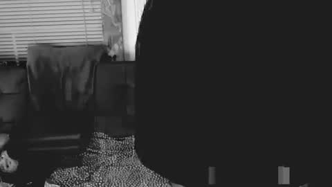 oldskoolll online show from March 2026 03:34:01 AM