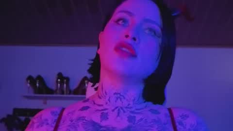   online show from December 2025 02:02:02 PM