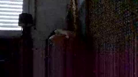 onlywholes online show from January 2025 09:08:01 AM