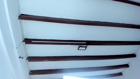 Miss Guzman  online show from February 2025 02:28:01 AM