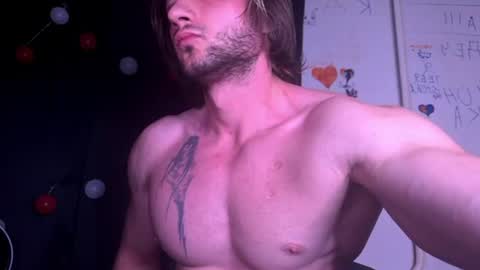 origamicat online show from July 2026 01:33:01 AM