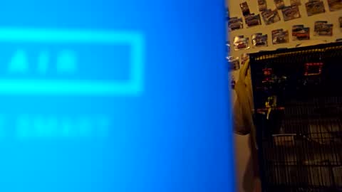 orlandovilla48 online show from November 2025 12:31:02 PM