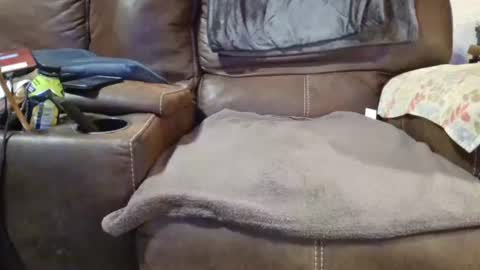 outdoorsmanmark71 online show from December 2024 02:12:02 AM