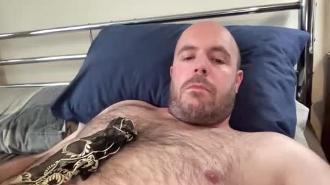 Owen2022 online show from February 2026 10:57:01 AM