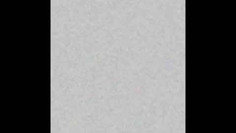 Alice online show from December 2024 06:52:01 PM