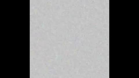 Alice online show from December 2024 04:53:02 PM