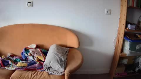 Pajarito lindo online show from September 2025 12:38:02 PM