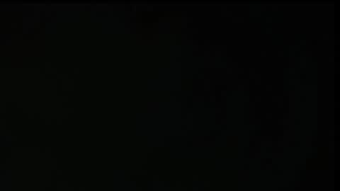 pamela online show from February 2026 11:16:01 AM