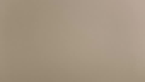 angel hris online show from March 2026 07:31:02 PM