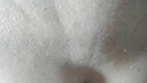 sara and andreu online show from December 2024 06:04:02 PM