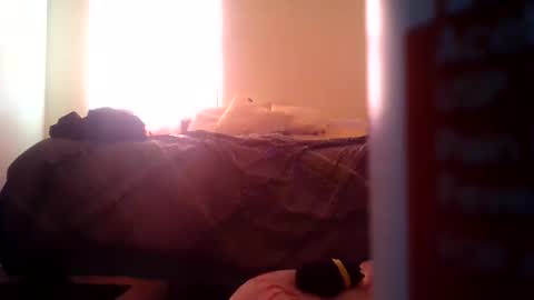 Snapshot of pebblessmith453 chatting on November 2025 02:49:01 PM pebblessmith453 online show from November 2025 02:49:01 PM