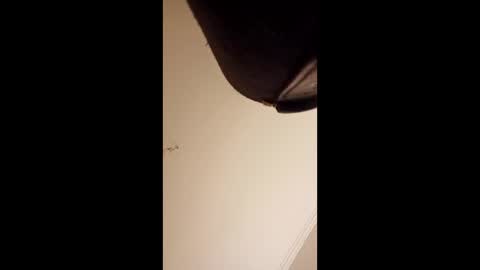 pelekenone online show from April 2026 04:24:01 AM