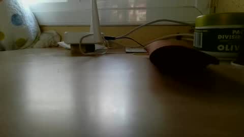 perales_12345 online show from January 2026 04:00:01 PM