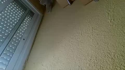 perales_12345 online show from April 2026 10:25:01 AM