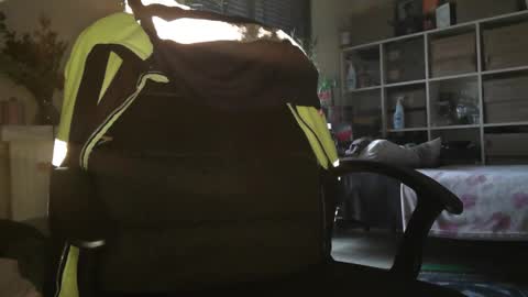 peregrintpelfox online show from December 2025 10:20:02 AM