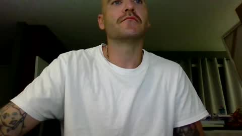 Snapshot of pervyturtle88 chatting on July 2026 03:44:01 AM pervyturtle88 online show from July 2026 03:44:01 AM