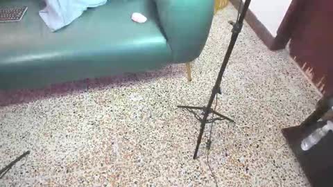 Peter online show from February 2026 06:09:01 PM