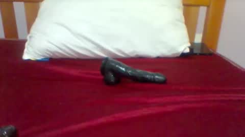 ariana online show from March 2026 09:52:01 PM