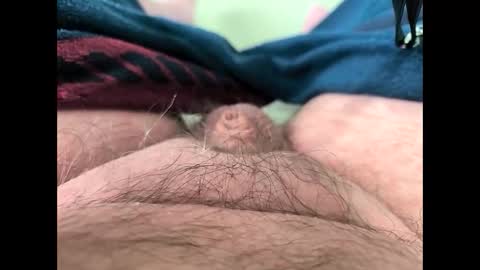 petrol63102 online show from March 2026 10:55:01 AM