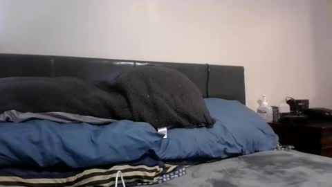 Snapshot of phantomfreakbbc chatting on February 2026 04:38:01 AM phantomfreakbbc online show from February 2026 04:38:01 AM