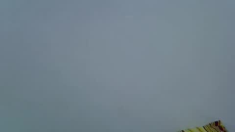 Snapshot of pickle_fingers chatting on June 2026 06:47:01 PM pickle_fingers online show from June 2026 06:47:01 PM