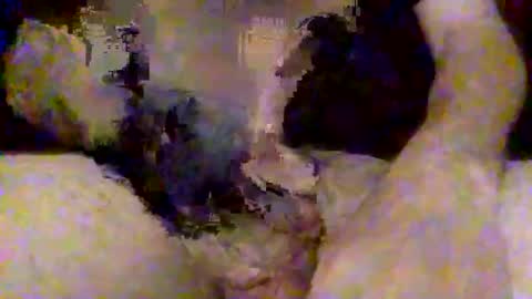 pinaykittylover online show from April 2026 12:37:01 PM