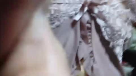 pinaysunday online show from March 2026 12:15:01 AM