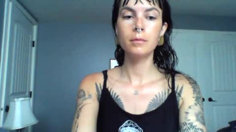 Snapshot of pixiecatfairy chatting on June 2026 04:46:01 PM pixiecatfairy online show from June 2026 04:46:01 PM