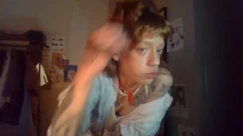 plsmecha online show from July 2026 09:16:02 AM