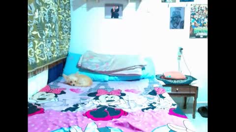 Gian online show from January 2025 08:42:01 PM