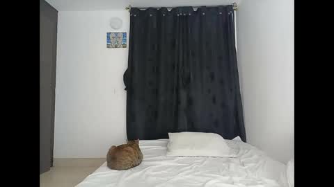 porcelainlux online show from March 2026 01:22:01 AM