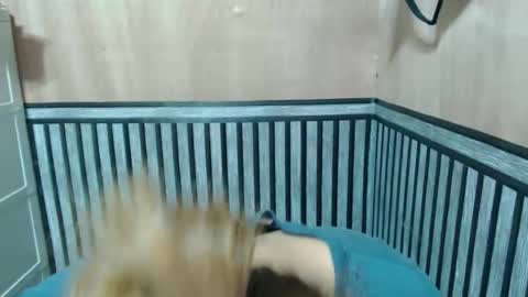 Kate online show from December 2025 09:14:01 AM