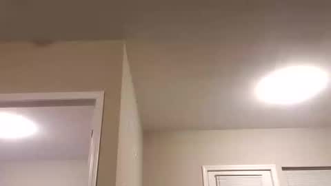 prettysolidd7 online show from January 2025 03:57:01 AM