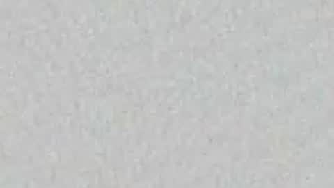 PrimDeceit online show from April 2026 04:04:01 AM